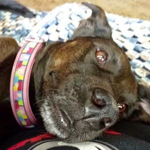 Meet your Posher, Leandra